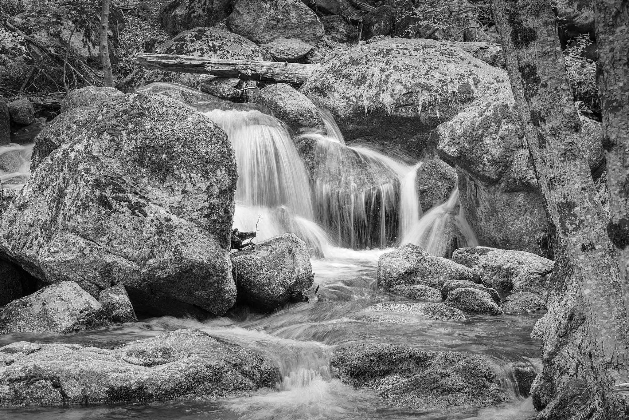 Cascade Creek Park